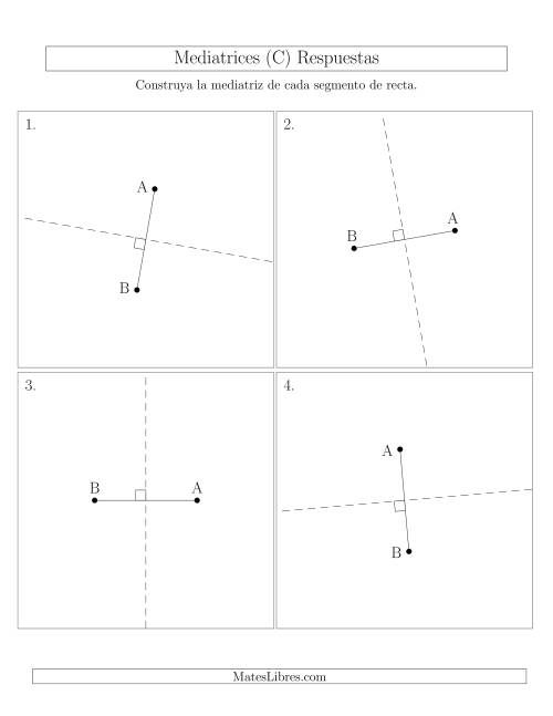 La hoja de ejercicios de Construir Líneas Perpendiculares a Través de Puntos fuera del Segmento (C) Página 2