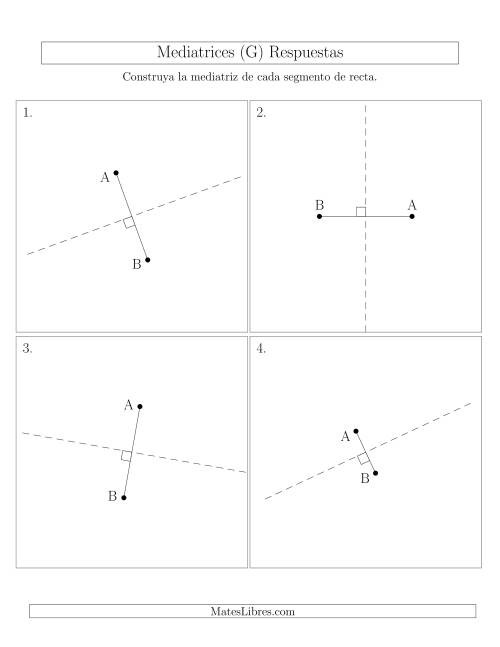 La hoja de ejercicios de Construir Líneas Perpendiculares a Través de Puntos fuera del Segmento (G) Página 2