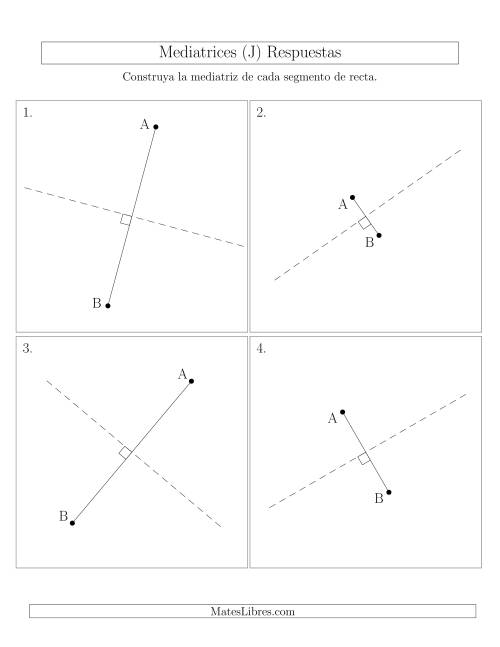La hoja de ejercicios de Construir Líneas Perpendiculares a Través de Puntos fuera del Segmento (J) Página 2