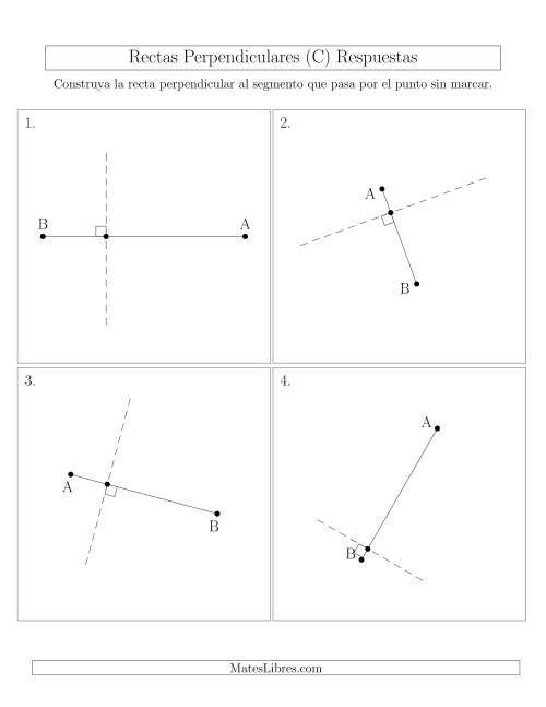 La hoja de ejercicios de Construir Líneas Perpendiculares a Través de Puntos sobre el Segmento con Diferentes Ángulos (C) Página 2