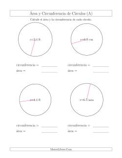 Calcular la Circunferencia y el Área de Círculos a Partir del Radio