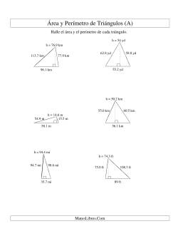 Área y Perímetro de Triángulos, Un Lugar Decimal, Rango de 10 a 99