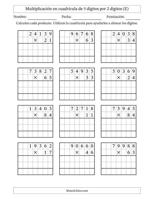La hoja de ejercicios de Multiplicación con apoyo de cuadrícula de 5 dígitos por 2 dígitos (E)