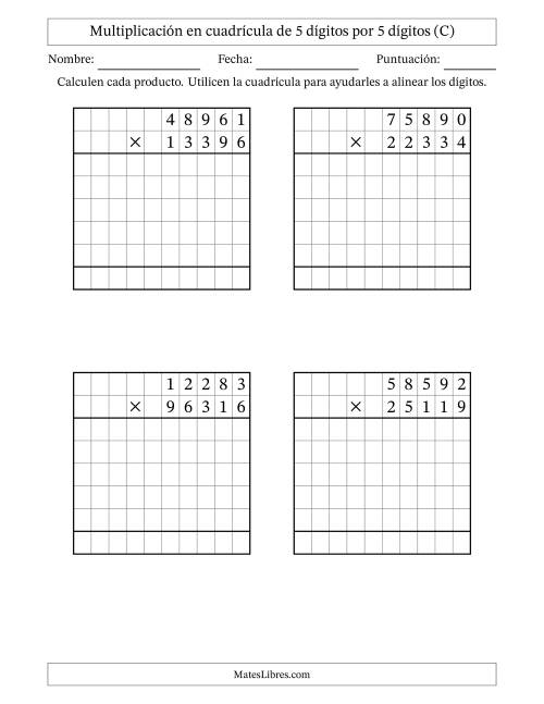 La hoja de ejercicios de Multiplicación con apoyo de cuadrícula de 5 dígitos por 5 dígitos (C)