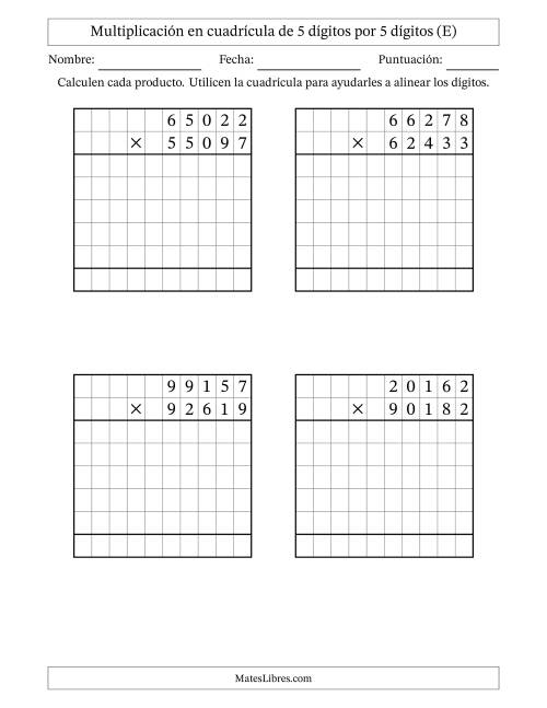 La hoja de ejercicios de Multiplicación con apoyo de cuadrícula de 5 dígitos por 5 dígitos (E)