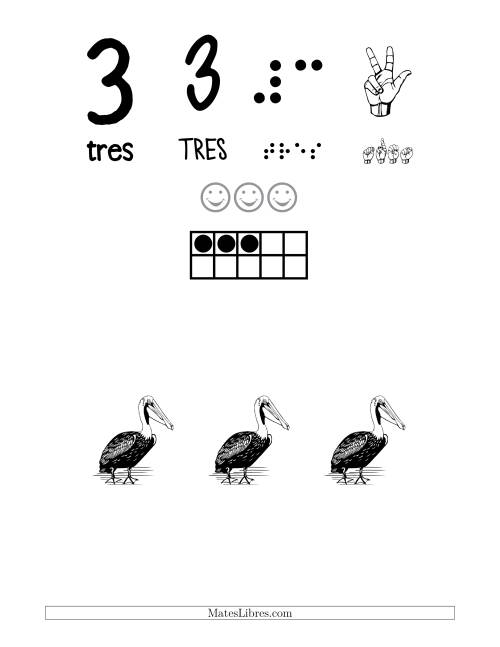 La hoja de ejercicios de Afiches para Reconocer el Número 3 con un Tema de Pájaros (D)