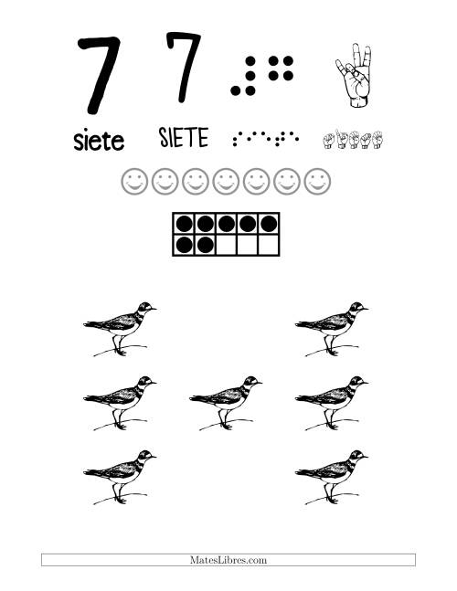 La hoja de ejercicios de Afiches para Reconocer el Número 7 con un Tema de Pájaros (H)