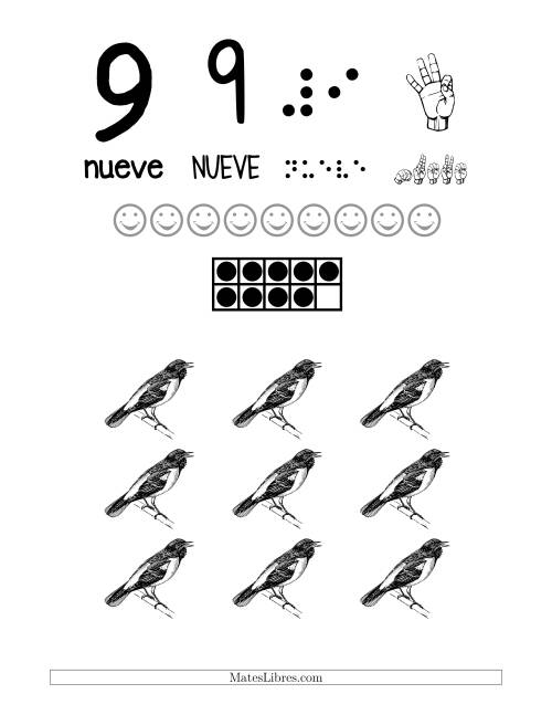 La hoja de ejercicios de Afiches para Reconocer el Número 9 con un Tema de Pájaros (J)