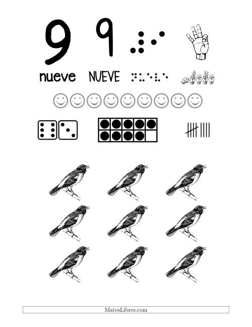 La hoja de ejercicios de Afiches para Reconocer Números de 0 a 9 con un Tema de Pájaros (Todas)
