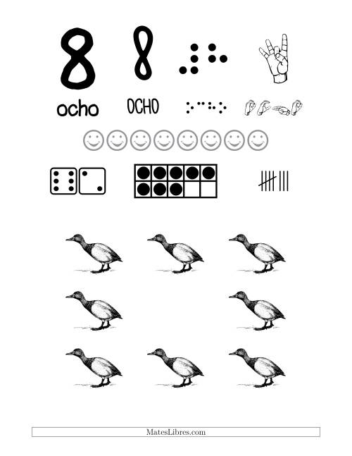 La hoja de ejercicios de Afiches para Reconocer Números de 0 a 9 con un Tema de Pájaros (Todas) Página 2